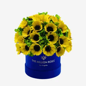 Classic Royal Blue Suede Box | Sunflowers & Green Hydrangeas