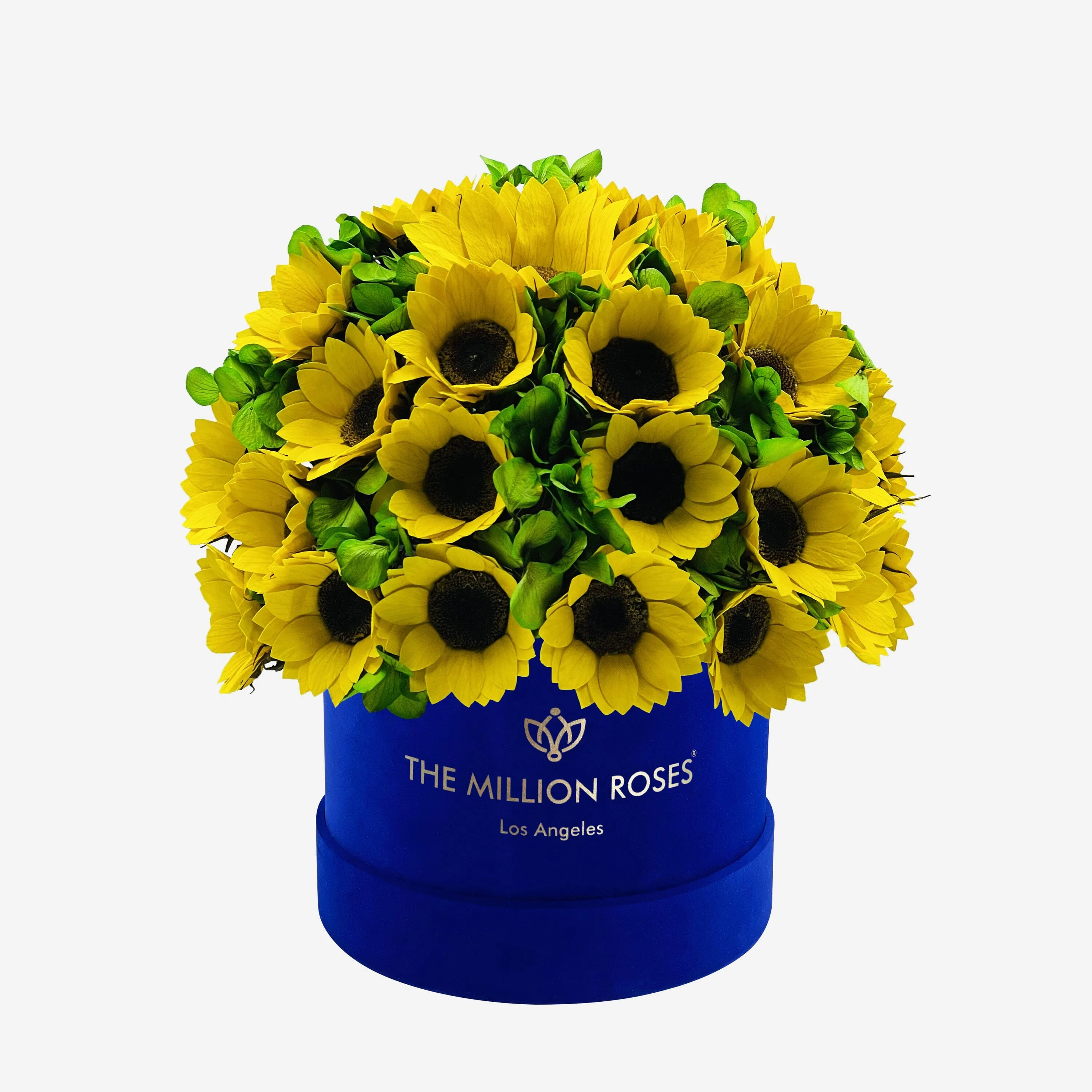 Classic Royal Blue Suede Box | Sunflowers & Green Hydrangeas