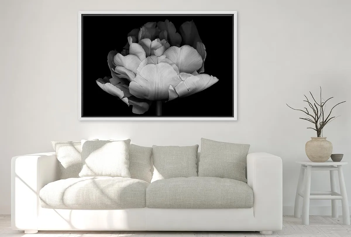 Monochrome Tulip | Canvas Wall Art Print