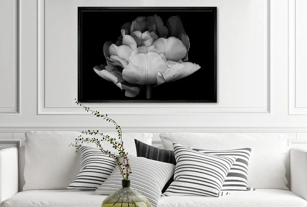 Monochrome Tulip | Canvas Wall Art Print