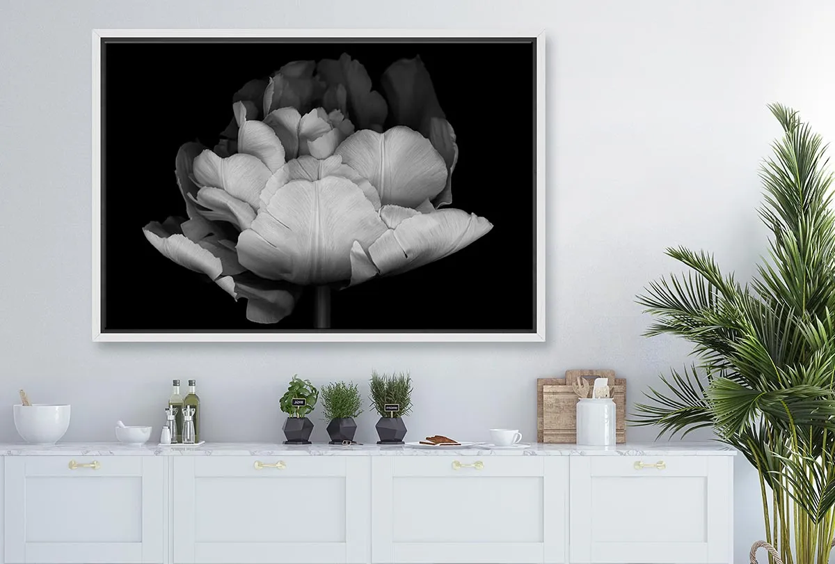 Monochrome Tulip | Canvas Wall Art Print