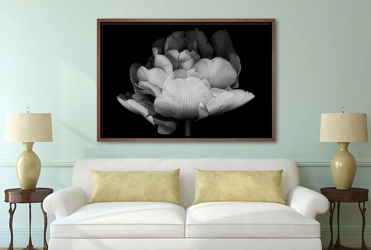 Monochrome Tulip | Canvas Wall Art Print