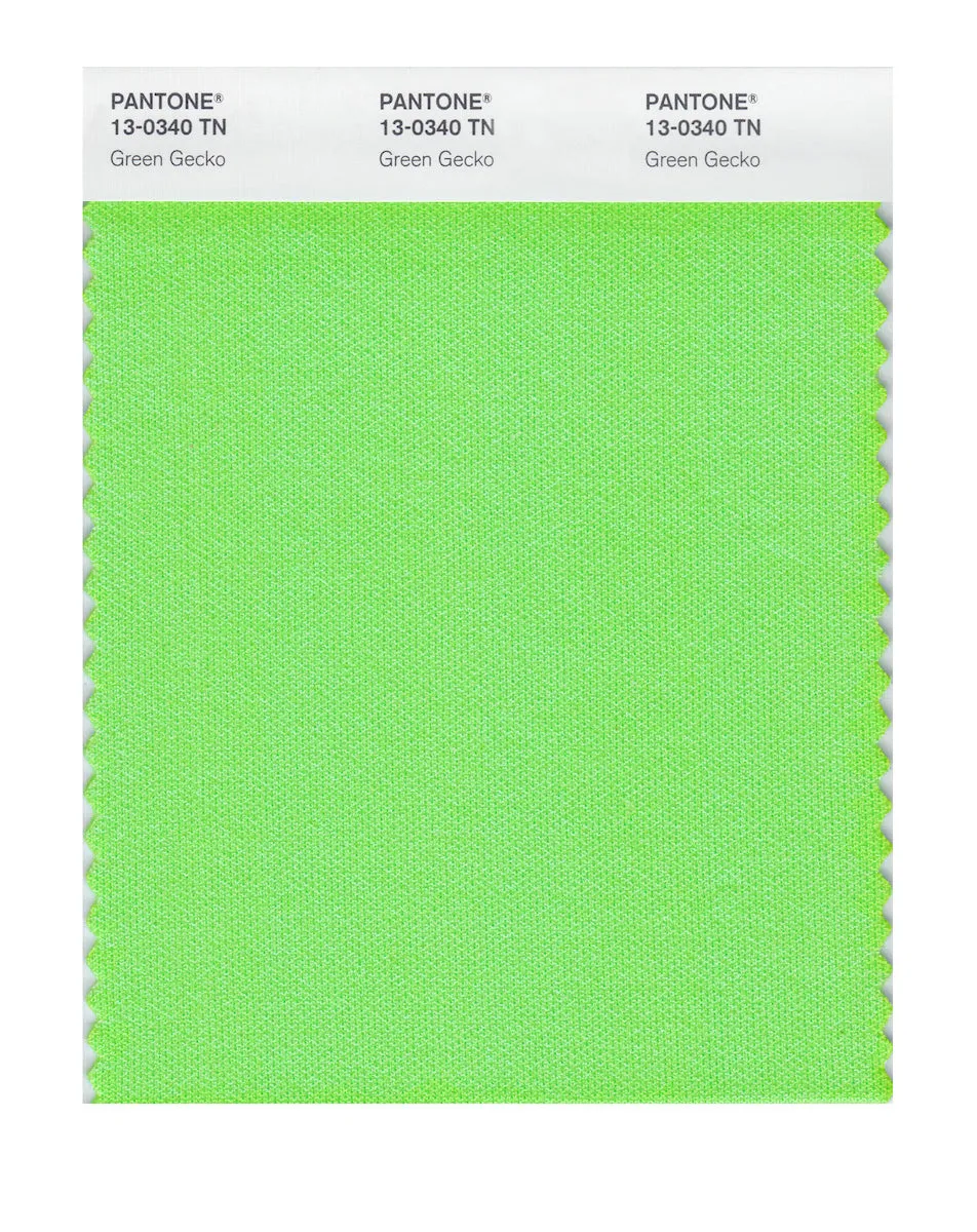 Pantone Nylon Brights Swatch Card 13-0340 TCX (Green Gecko)