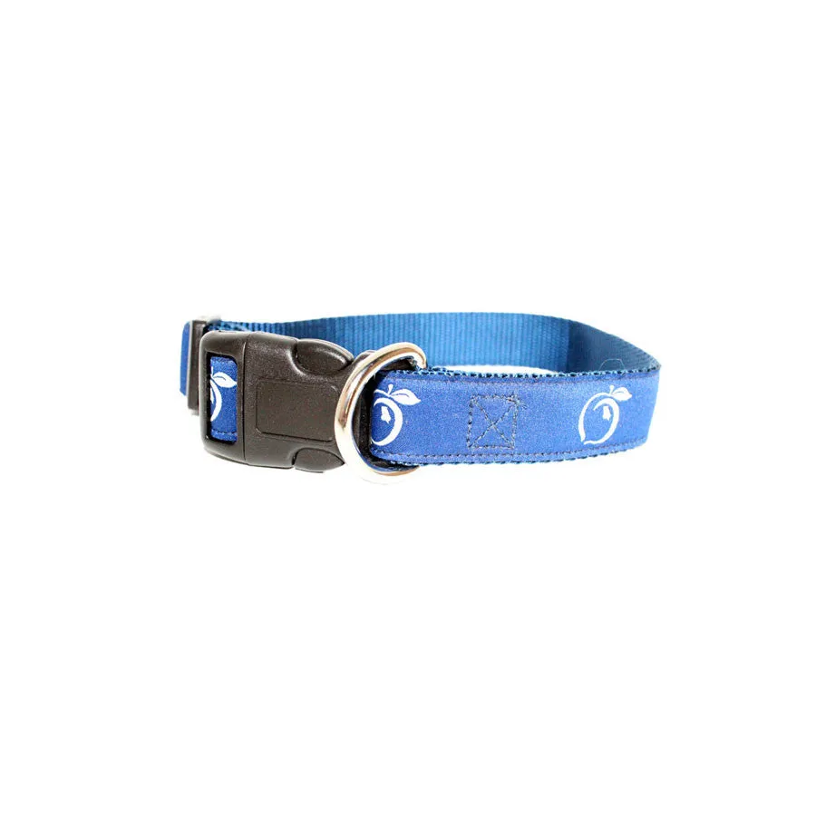 Ribbon Canvas Dog Collar