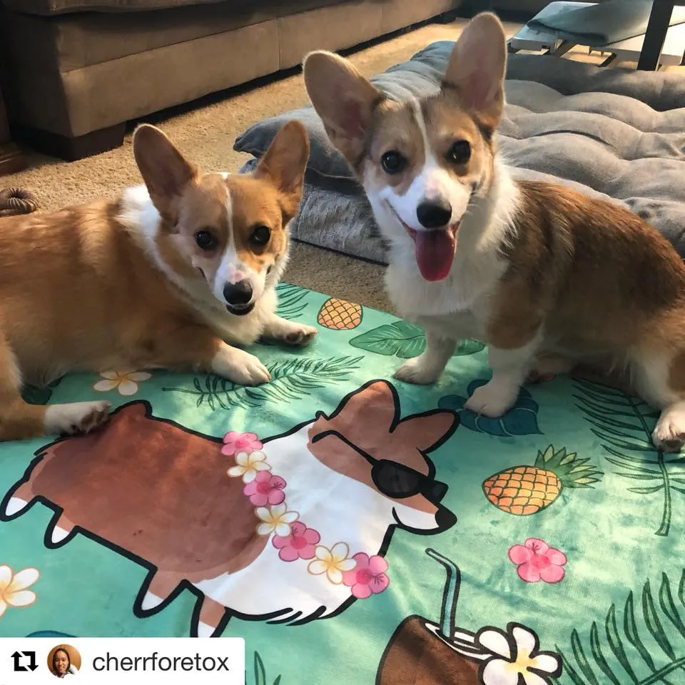 Tropical Corgi Beach Towel